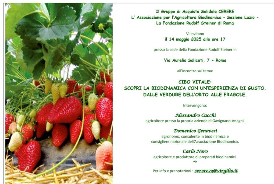 Cibo Vitale: Scoprila biodinamica con un'esperienza di gusto. Dalle verdure dell'orto alle fragole.